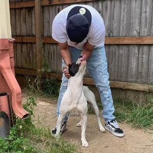 Meet your Posher, Nolan